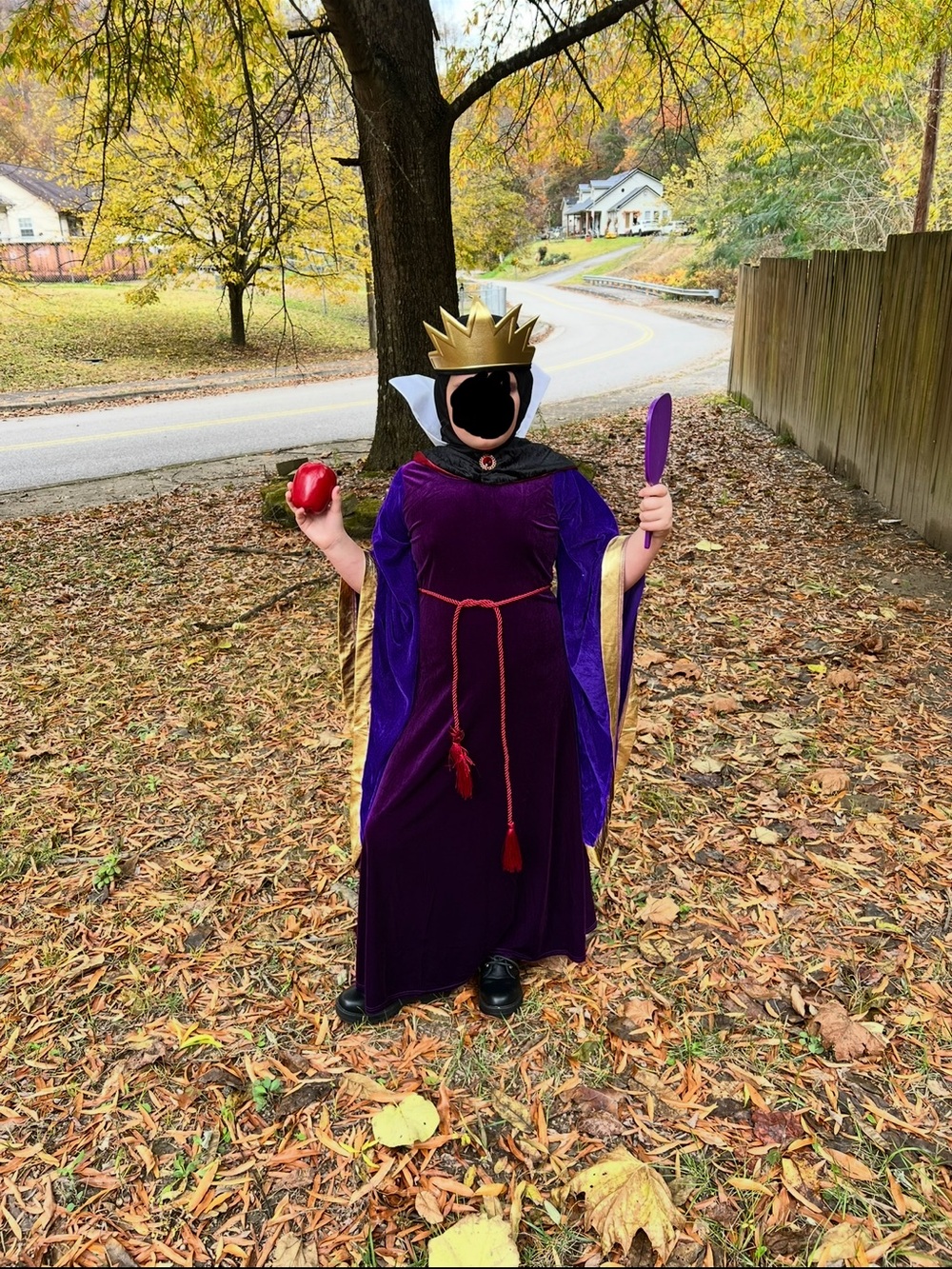 Girl’s Snow White evil queen Halloween costume. Size large